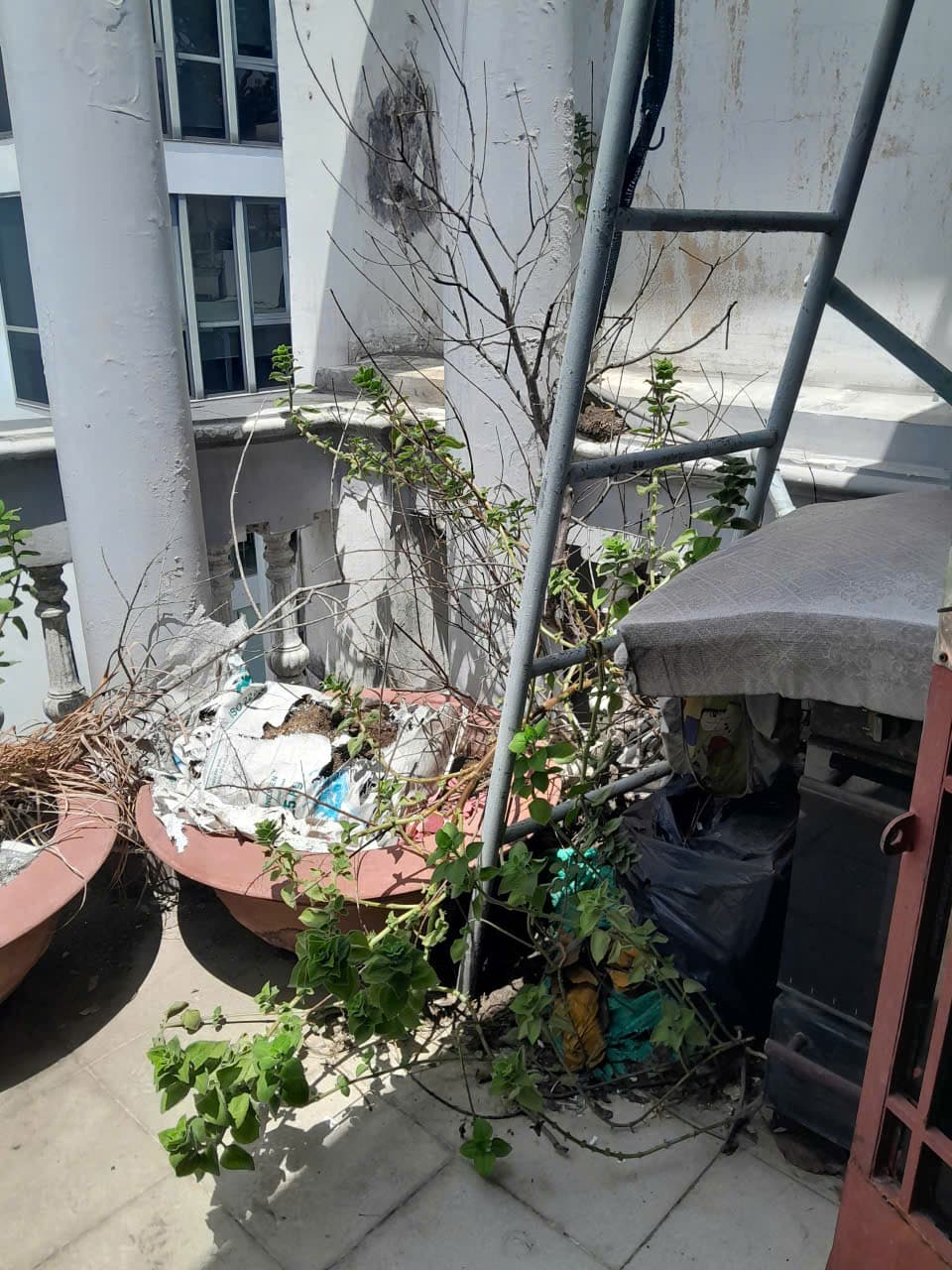 Sân thượng xuống cấp, nhiều đồ cũ cần dọn dẹp